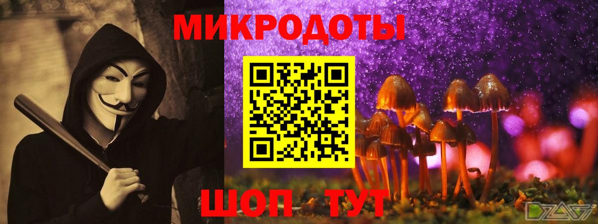 Мыски  Псилоцибиновые грибы ЛСД  Псилоцибиновые грибы прущие грибы  хочу наркоту  Вход с VPN 